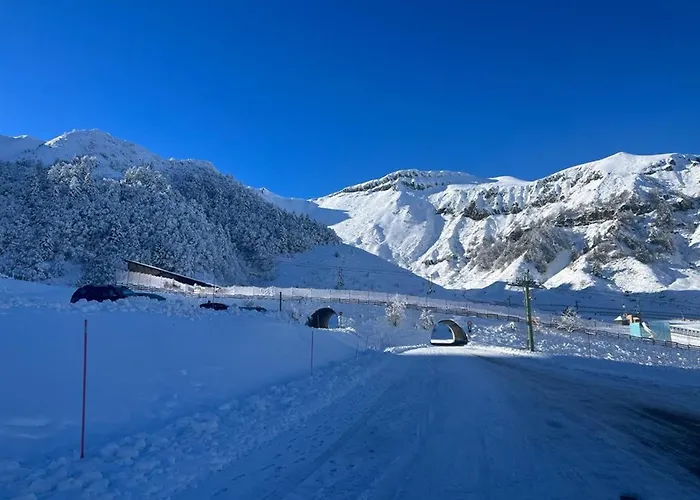 Bel T2 Avec Balcon Et Parking Au - Fr-1-608-271 Apartment